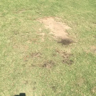 This is the greens around it hole three.