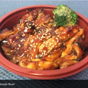 Wednesday SuperDeal Special! Chicken Teriyaki Bowl $4.59 (regular price $5.95)