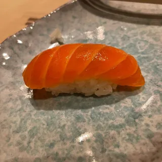 Ocean Trout
