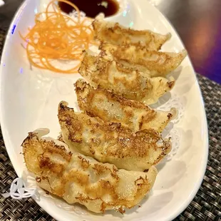 Pork dumplings are excellent!