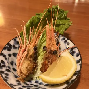 Head of shrimps
