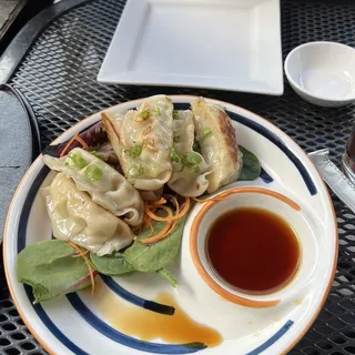 Dumplings Chicken Gyoza