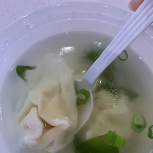 Wonton Soup