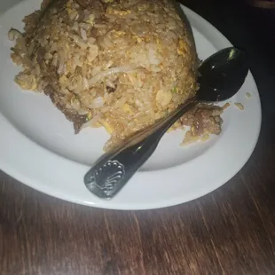 Chicken and beef fried rice