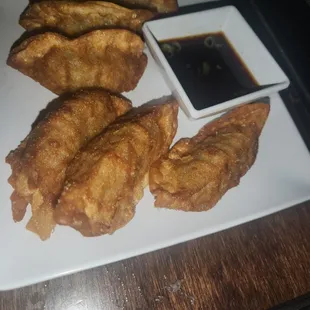 Fried Beef Dumplings