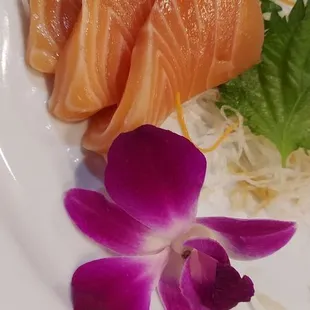 Salmon sashimi