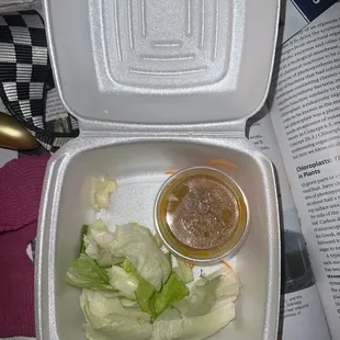 Here is the salad, and no I did not eat ANY of it yet. This is how I got it!!!!