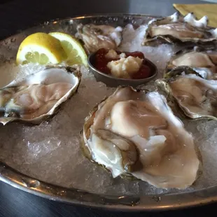 Oysters