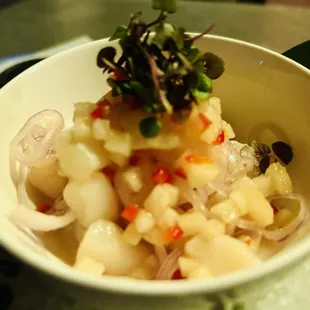 Scallop ceviche