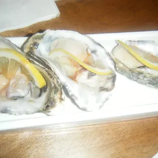 Oyster