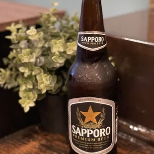 drink, sushi and sashimi