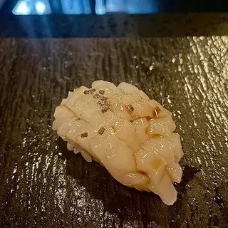 Hotate - Scallop