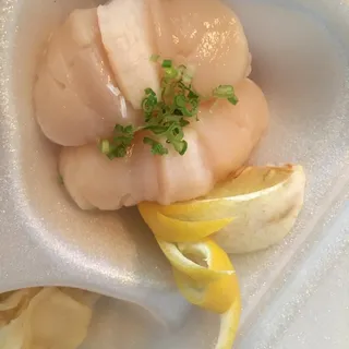 Scallop