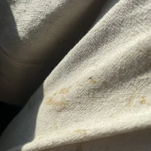 Just more food that was dumped on me.