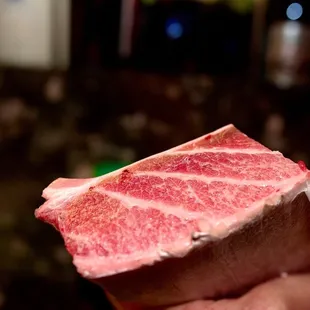 Bluefin toro