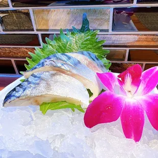 Saba Sashimi