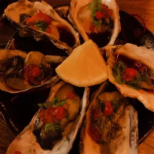 Oysters