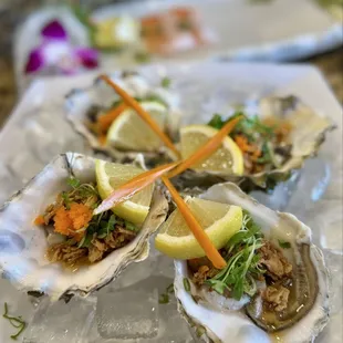 shellfish, mussels, oysters and mussels, oysters, food