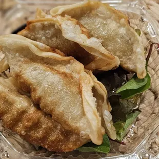 Fried Gyoza