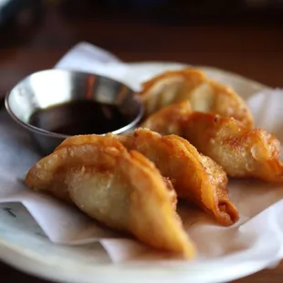 Beef Gyoza