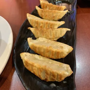 Gyoza (dumpling) for CNY