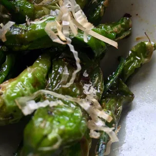 Shishito Pepper
