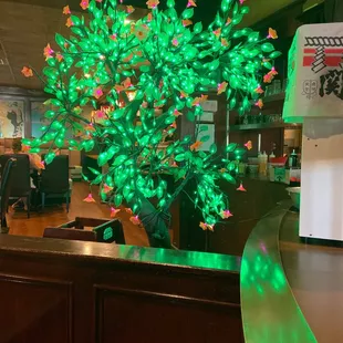 a lighted tree in a restaurant