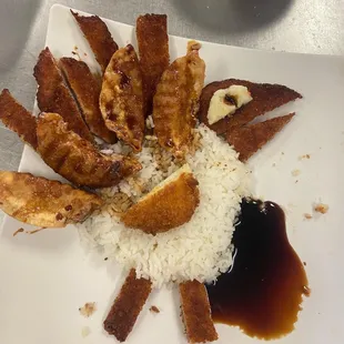 Chicken katsu designed as a turkey for my amusement