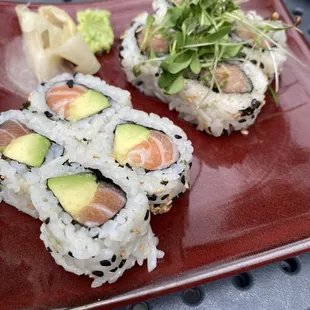 Salmon Avocado Roll