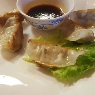 Gyoza