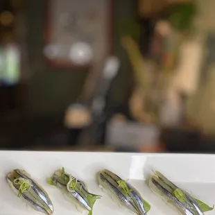 Sea herring fish / Japanese Nishin
