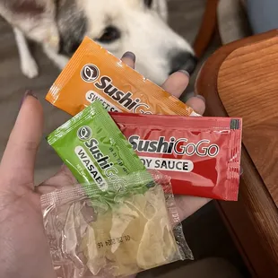 Sweet Soy Sauce, Soy Sauce, Wasabi, Sushi Ginger