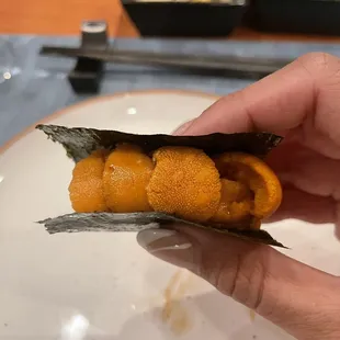Hokkaido Sea Urchin