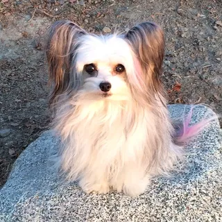 Valerie B.