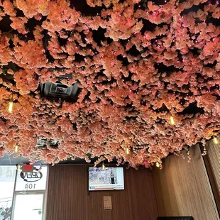 cherry blossoms hanging from the ceiling