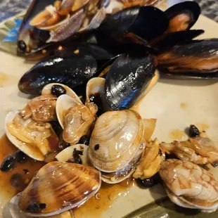 Clams and mussels