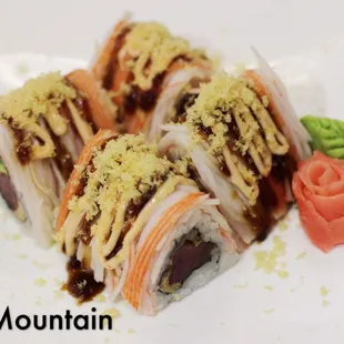 Fuji Mountain