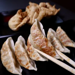 Gyoza