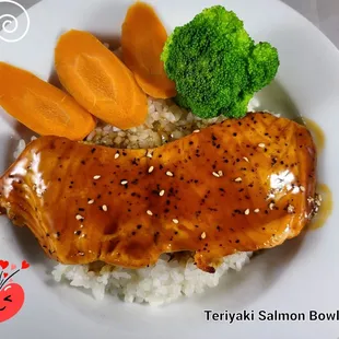 Lunch only
