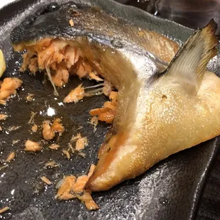 King Salmon Kama