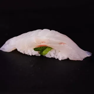 Red Snapper