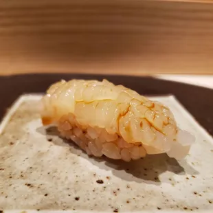Hokkaido squid sushi
