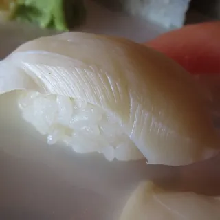 Conch nigiri