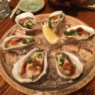 Stellar Bay Fresh Live Oyster From Canada