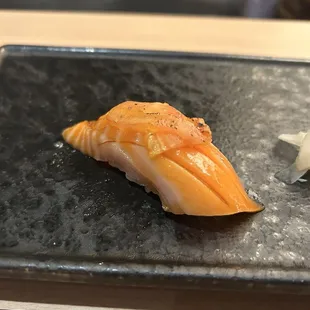 Salmon