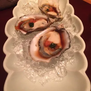 Shigoku Oysters* **