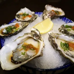 Japanese Oyster(6pcs)