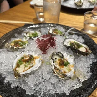 Oysters