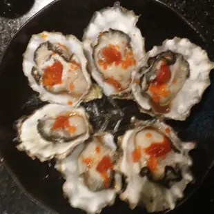 Oysters anyone?