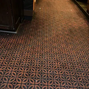 Filthy carpet